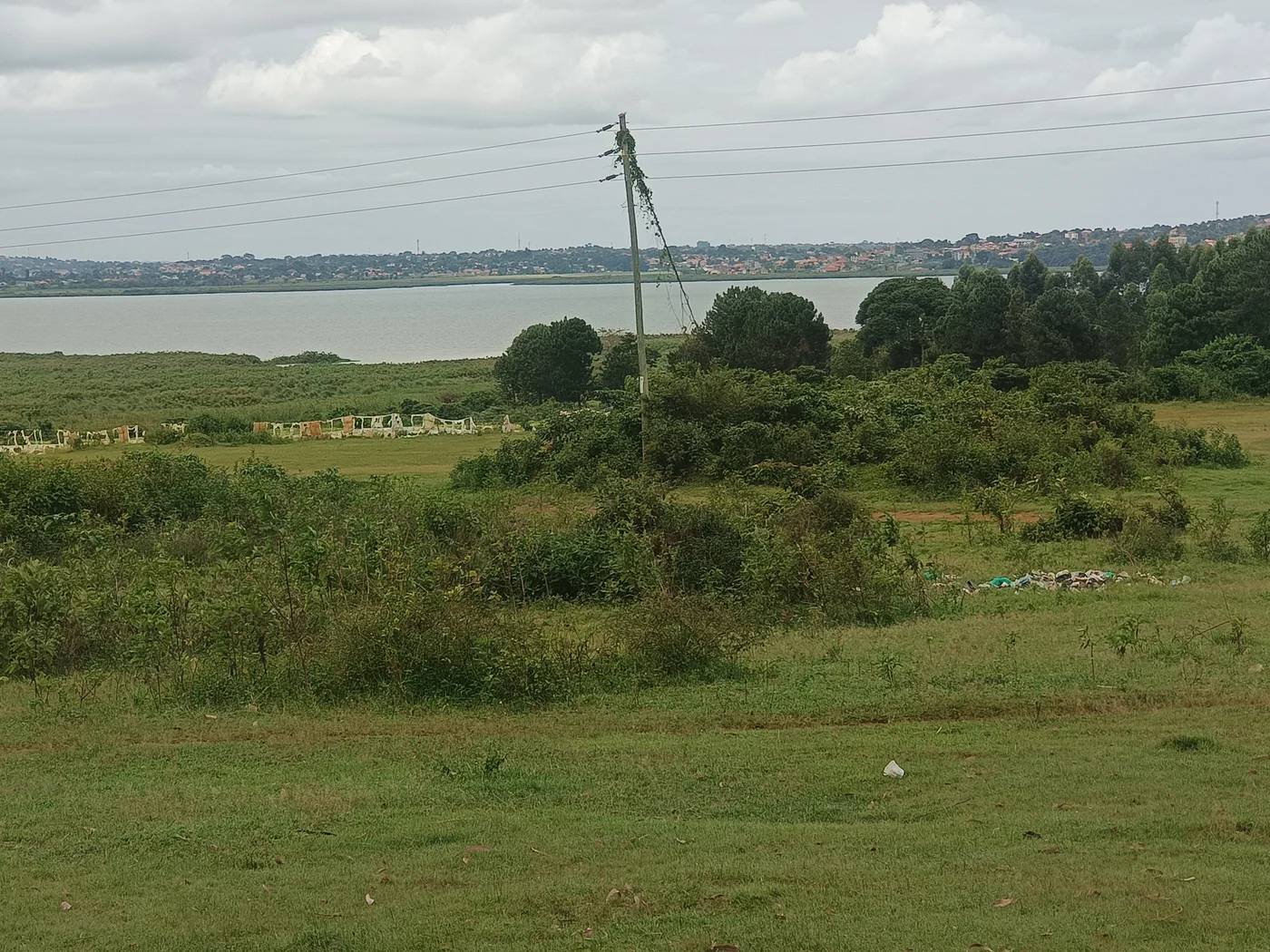 🏠 LAND & HOUSES for sale and Rent · photo 5