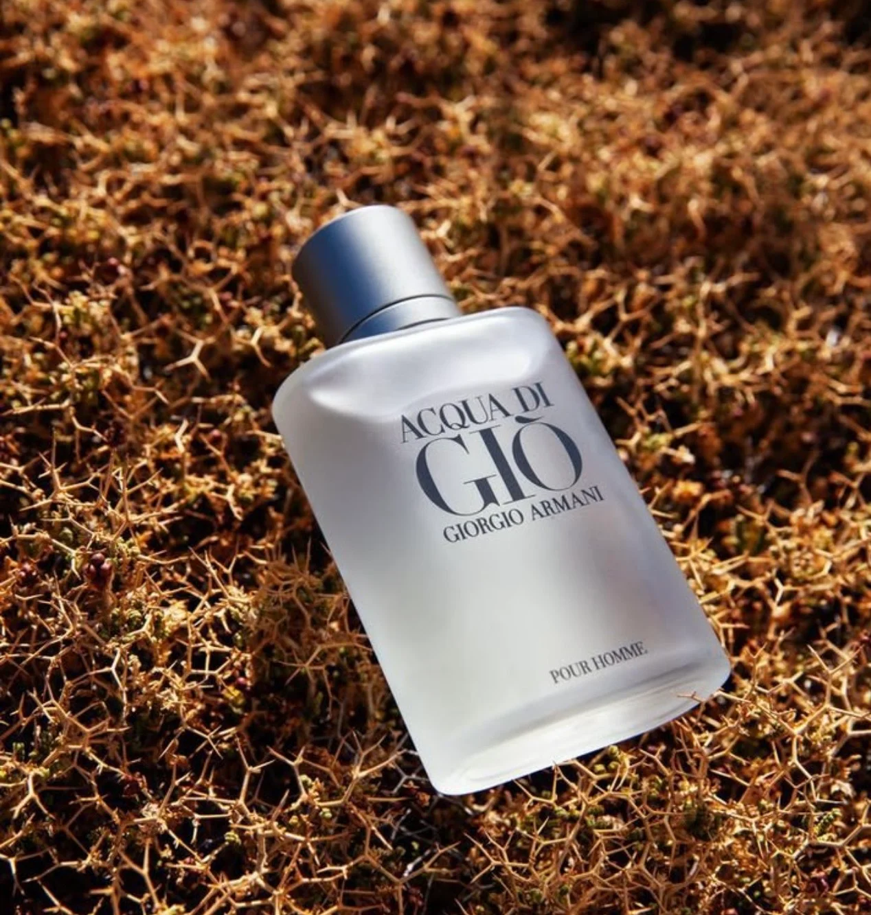 Scentandslay3 · photo 2