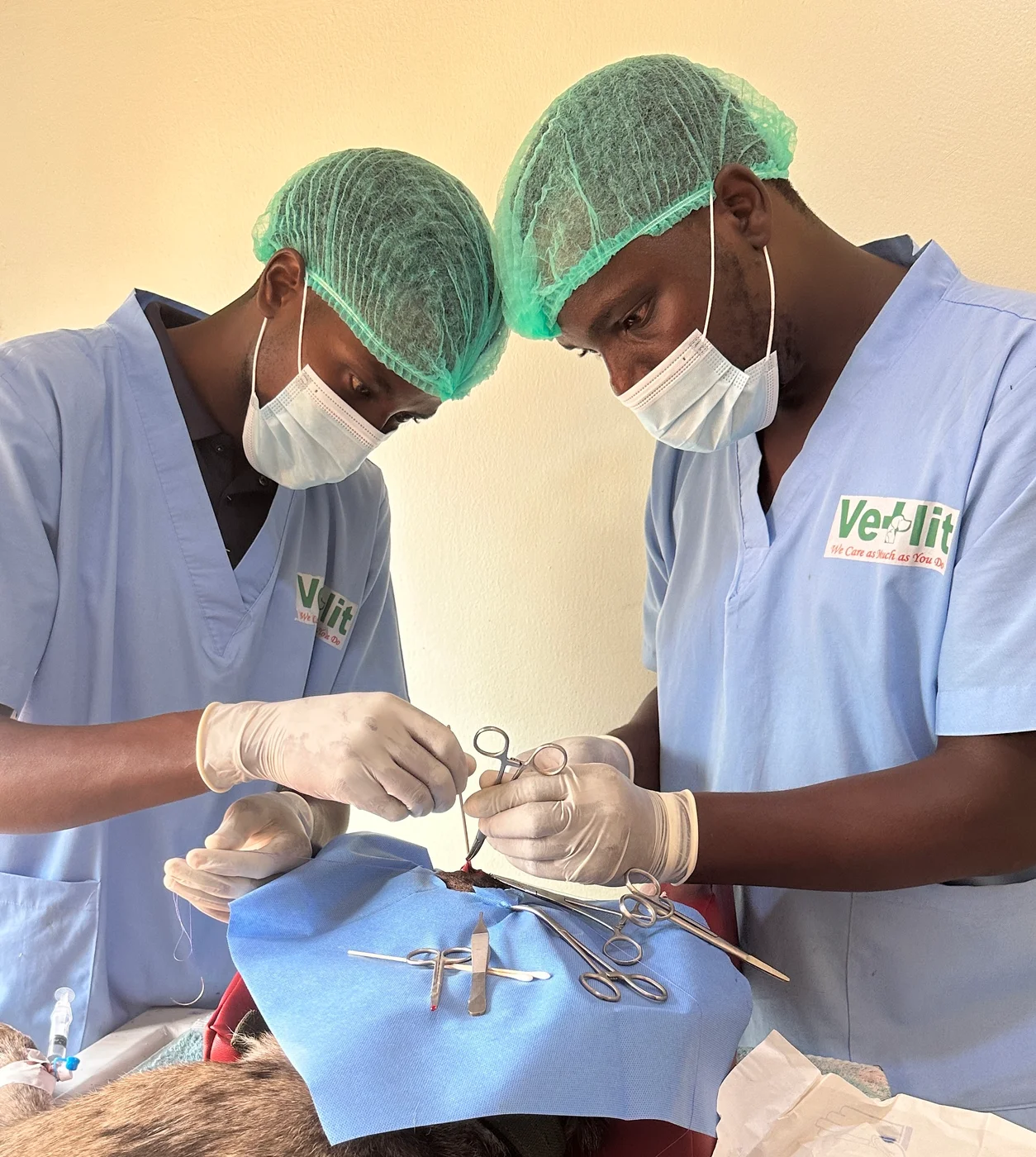 Vetlit Animal Clinic · photo 3